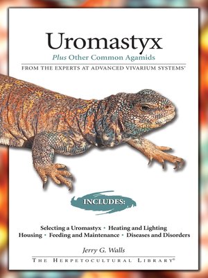 cover image of Uromastyx